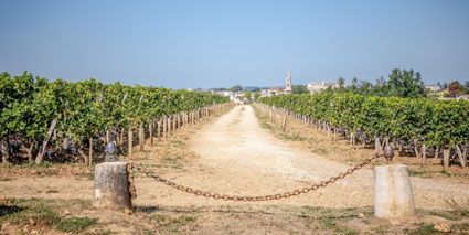 Chateau Troplong Mondot Saint Emilion